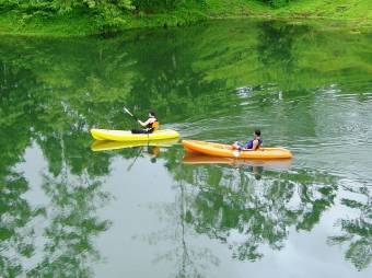 YOUR TROPICAL PARADISE!  LUSH LOTS FOR SALE FACING LAKE CUTRIS