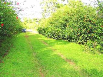 YOUR TROPICAL PARADISE!  LUSH LOTS FOR SALE FACING LAKE CUTRIS