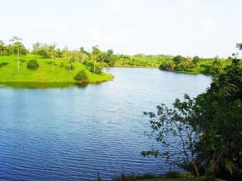 YOUR TROPICAL PARADISE!  LUSH LOTS FOR SALE FACING LAKE CUTRIS