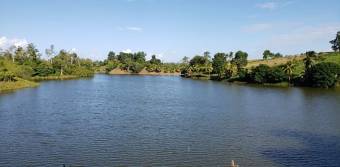 YOUR TROPICAL PARADISE! LUSH LOTS FOR SALE FACING LAKE CUTRIS YOUR TROPICAL PARADISE! LUSH LOTS FOR SALE FACING LAKE CUTRIS