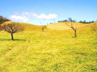 MIRAMAR, GORGEOUS RANCH FOR SALE with NICE OCEAN VIEW