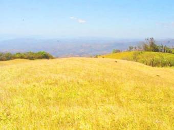 MIRAMAR, GORGEOUS RANCH FOR SALE with NICE OCEAN VIEW