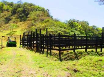 MIRAMAR, GORGEOUS RANCH FOR SALE with NICE OCEAN VIEW