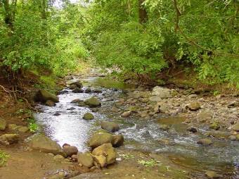 GUANACASTE, INTERAMERICAN HWAY, 250 ACRES FOR SALE, INDUSTRIAL & COMMERCIAL USE