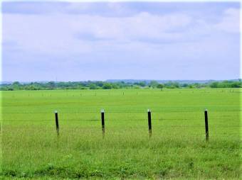 GUANACASTE, INTERAMERICAN HWAY, 250 ACRES FOR SALE, INDUSTRIAL & COMMERCIAL USE