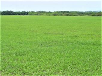 GUANACASTE, INTERAMERICAN HWAY, 250 ACRES FOR SALE, INDUSTRIAL & COMMERCIAL USE
