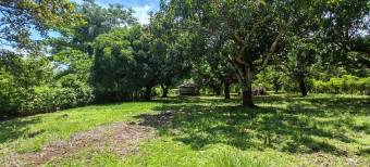 MLS-25-1948 LS VENTA LOTE LA CEIBA OROTINA MLS-25-1948 LS VENTA LOTE LA CEIBA OROTINA