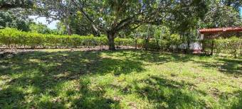 MLS-25-1948 LS VENTA LOTE LA CEIBA OROTINA MLS-25-1948 LS VENTA LOTE LA CEIBA OROTINA