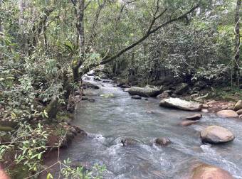 Caddle farm for sale, 21,7 hectares of pasture