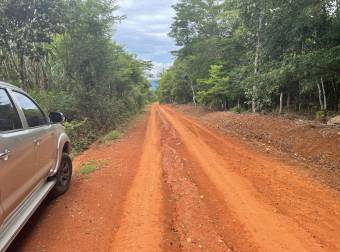 Caddle farm for sale, 21,7 hectares of pasture