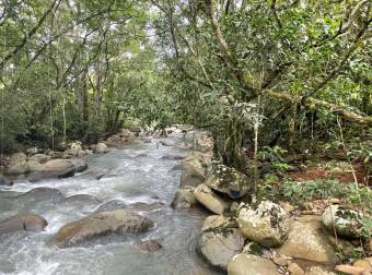 Caddle farm for sale, 21,7 hectares of pasture