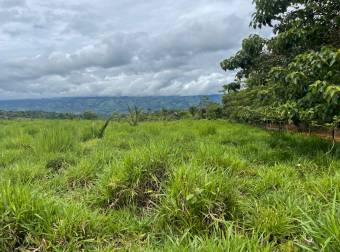 Caddle farm for sale, 21,7 hectares of pasture