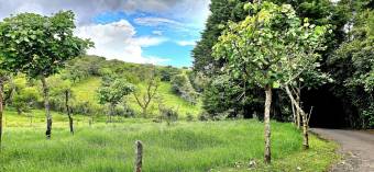 Lot for sale in San Rafael de Coronado READY TO BUILD. Lot for sale in San Rafael de Coronado READY TO BUILD.