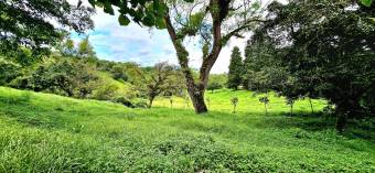 Lot for sale in San Rafael de Coronado READY TO BUILD. Lot for sale in San Rafael de Coronado READY TO BUILD.