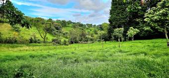 Lot for sale in San Rafael de Coronado READY TO BUILD. Lot for sale in San Rafael de Coronado READY TO BUILD.