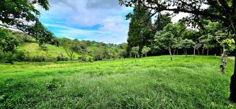 Lot for sale in San Rafael de Coronado READY TO BUILD. Lot for sale in San Rafael de Coronado READY TO BUILD.