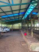 VENTA DE FINCA AGROGANADERA, HORQUETAS, SARAPIQUI