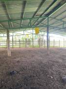 VENTA DE FINCA AGROGANADERA, HORQUETAS, SARAPIQUI