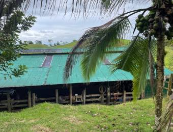 VENTA DE FINCA AGROGANADERA, HORQUETAS, SARAPIQUI