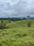 VENTA DE FINCA AGROGANADERA, HORQUETAS, SARAPIQUI