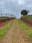 VENTA DE FINCA AGROGANADERA, HORQUETAS, SARAPIQUI