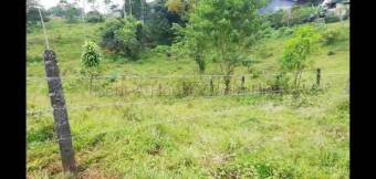 Venta de Lote en Grecia-Río Cuarto, Alajuela. RAH 26-2091