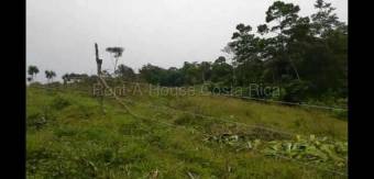 MLS-26-2091 KQ VENTA LOTE RIO CUARTO GRECIA ALAJUELA