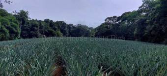 MLS-26-2091 LS VENTA LOTE RIO CUARTO GRECIA ALAJUELA CONTACTENOS AL # 86127562