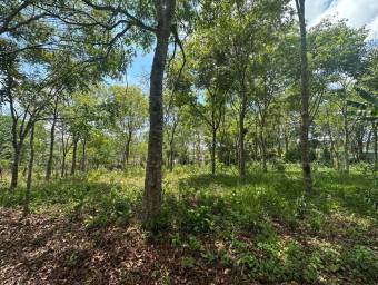 Venta de Lote en Puriscal-San José. RAH 24-1482