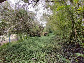 Alquiler de Bodega en Oreamuno-Cot, Cartago. 