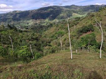 Venta de Lote en Turrialba-Cartago. RAH 26-1276
