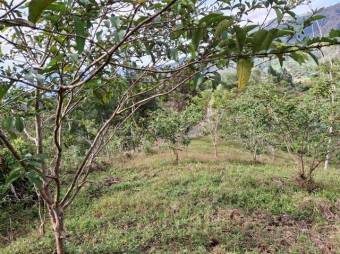 Venta de Lote en Turrialba-Cartago. RAH 26-1276