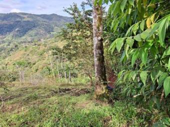 Venta de Lote en Turrialba-Cartago. RAH 26-1276