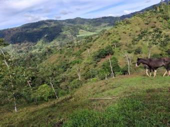 Venta de Lote en Turrialba-Cartago. RAH 26-1276
