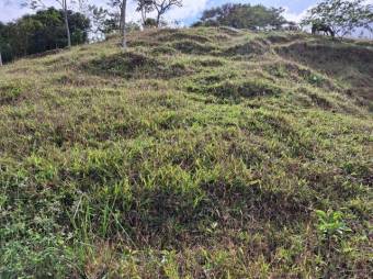 Venta de Lote en Turrialba-Cartago. RAH 26-1276