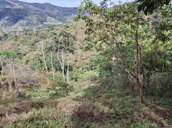 Venta de Lote en Turrialba-Cartago. RAH 26-1276