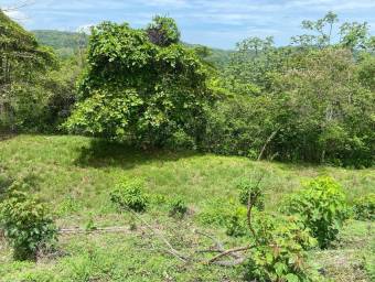 Venta de Quinta en Esparza-Espiritú Santo, Puntarenas. 26-374