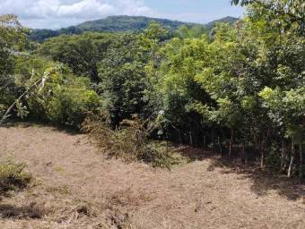 Venta de Quinta en Esparza-Espiritú Santo, Puntarenas. 26-374