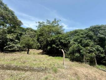 Venta de hermoso lote de 5023 M2 a precio de remate en Orotina 26-90