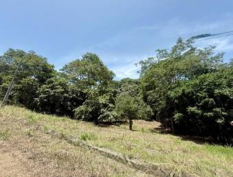 Venta de hermoso lote de 5023 M2 a precio de remate en Orotina 26-90