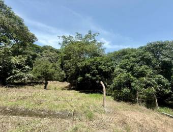 Venta de hermoso lote de 5023 M2 a precio de remate en Orotina 26-90