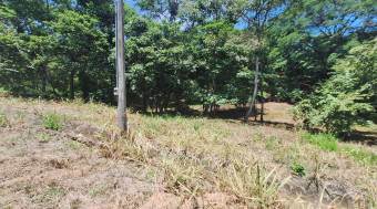 Venta de hermoso lote de 5023 M2 a precio de remate en Orotina 26-90