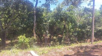 Venta de hermoso lote de 5023 M2 a precio de remate en Orotina 26-90