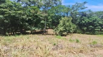 Venta de hermoso lote de 5023 M2 a precio de remate en Orotina 26-90