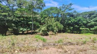 Venta de hermoso lote de 5023 M2 a precio de remate en Orotina 26-90