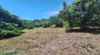 Venta de hermoso lote de 5023 M2 a precio de remate en Orotina 26-90