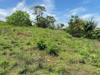 Venta de Quinta en Esparza-Espíritu Santo, Puntarenas. 26-374