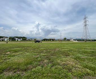 Lote 100% plano de 335 m2 a la venta en Ciudad Hacienda Los Reyes, condominio Las Mesetas. Lote 100% plano de 335 m2 a la venta en Ciudad Hacienda Los Reyes, condominio Las Mesetas.