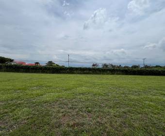Lote 100% plano de 335 m2 a la venta en Ciudad Hacienda Los Reyes, condominio Las Mesetas. Lote 100% plano de 335 m2 a la venta en Ciudad Hacienda Los Reyes, condominio Las Mesetas.