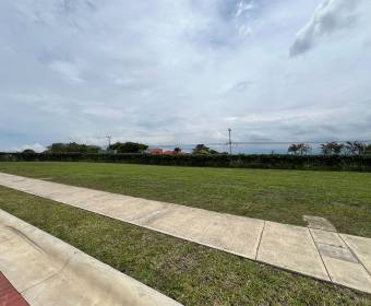 Lote 100% plano de 335 m2 a la venta en Ciudad Hacienda Los Reyes, condominio Las Mesetas. Lote 100% plano de 335 m2 a la venta en Ciudad Hacienda Los Reyes, condominio Las Mesetas.